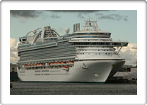EMERALD PRINCESS     9333151 